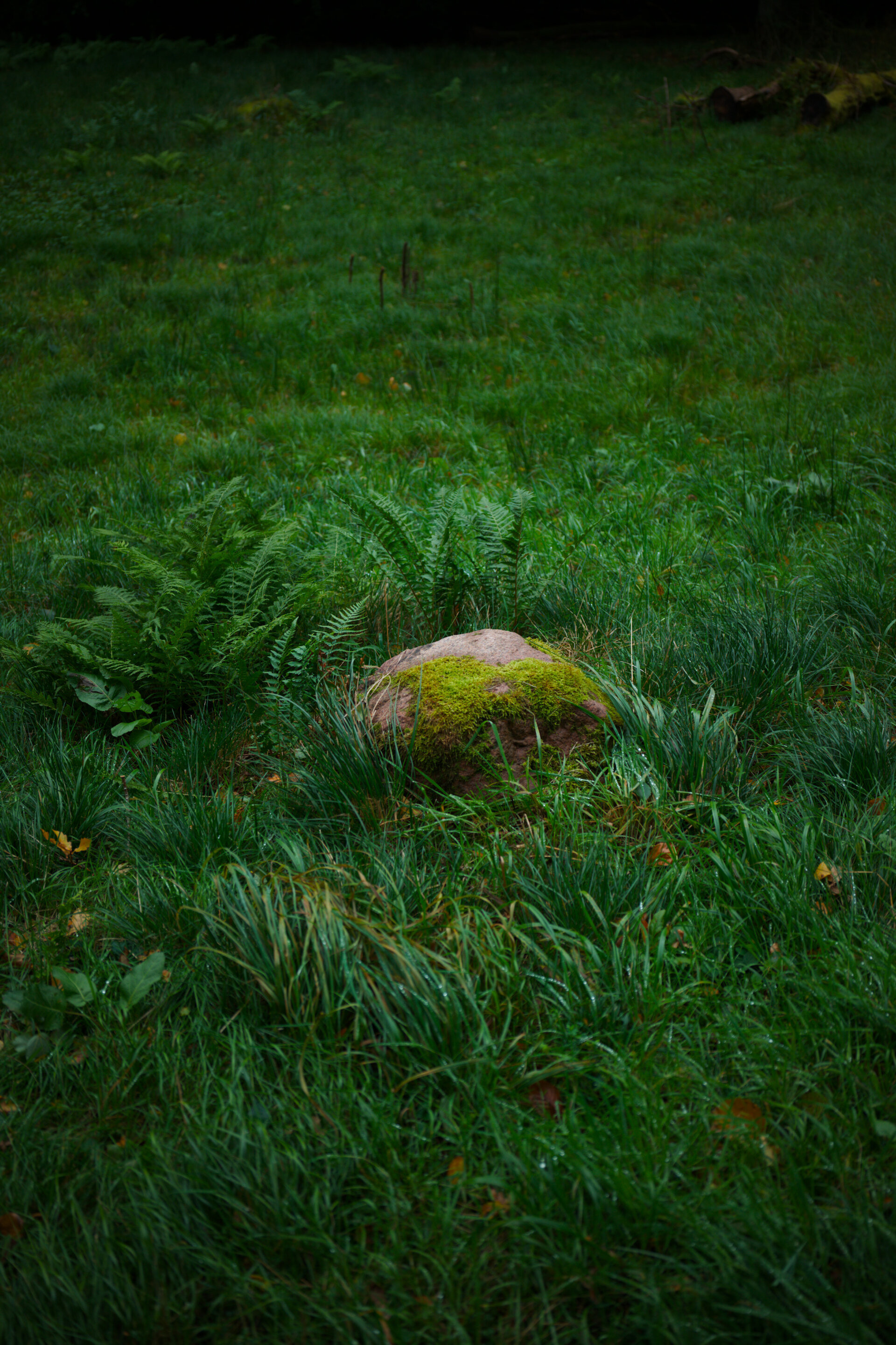 Sat, 21 Feb 2026 23:52:50 +0100