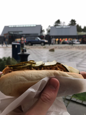 Hand holding hotdog in Blåvand